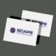 SCAPE Investor Logo design